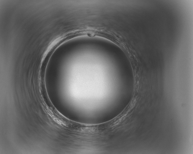 X0000077370102200610201402