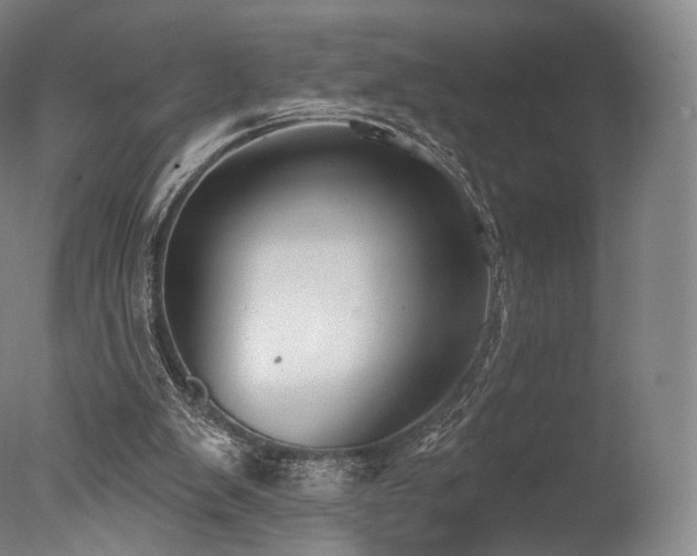 X0000077370103200610201402