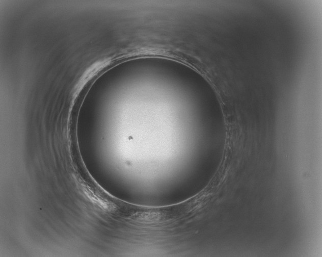 X0000077370104200610201402