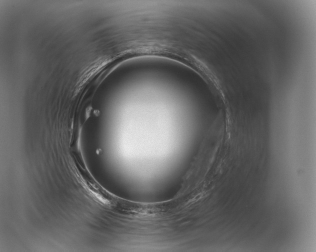 X0000077370105200610201402