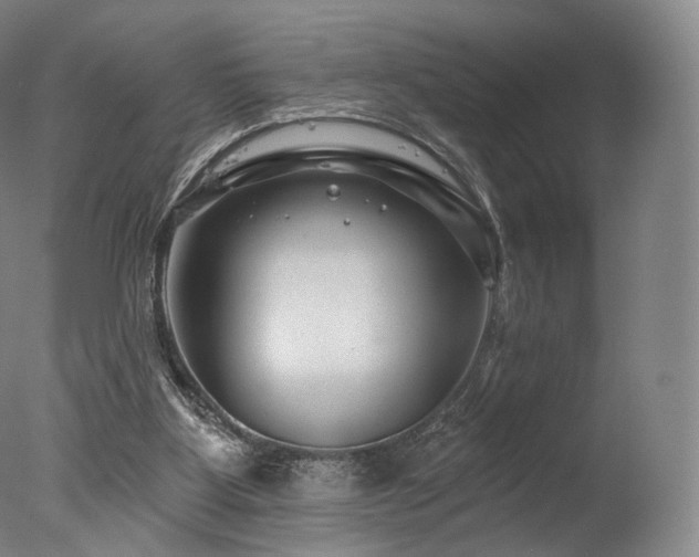 X0000077370107200610201402