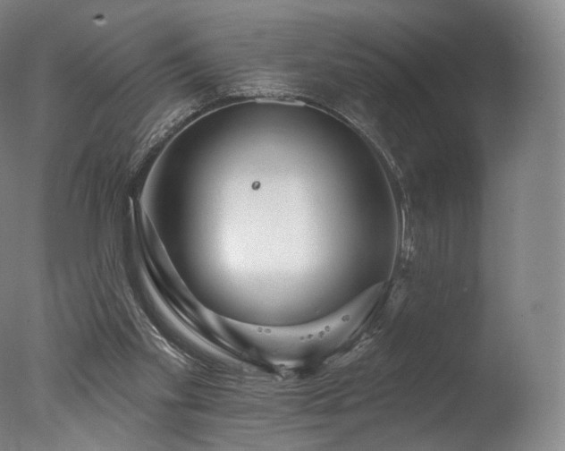 X0000077370109200610201402