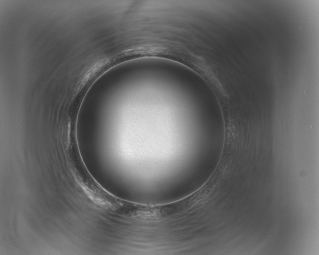 X0000077370110200610201402