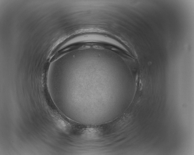 X0000077370111200610201402