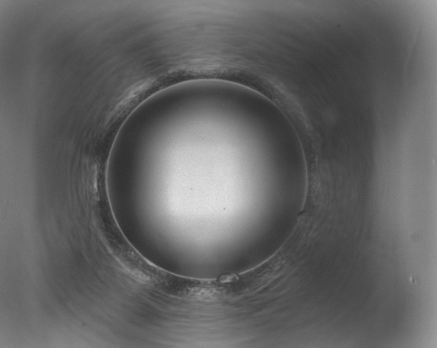 X0000077370115200610201402