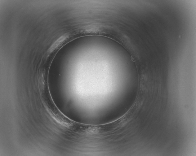 X0000077370116200610201402