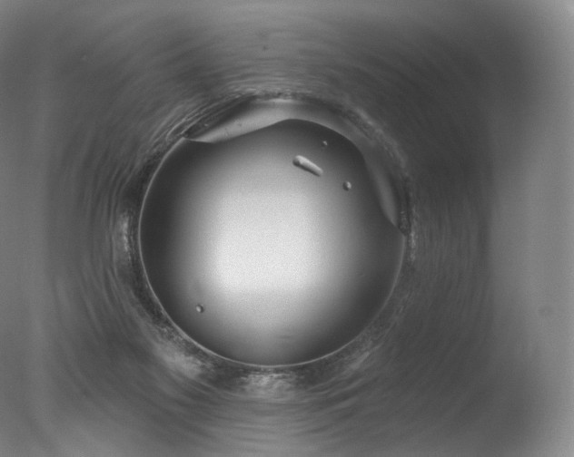 X0000077370117200610201401