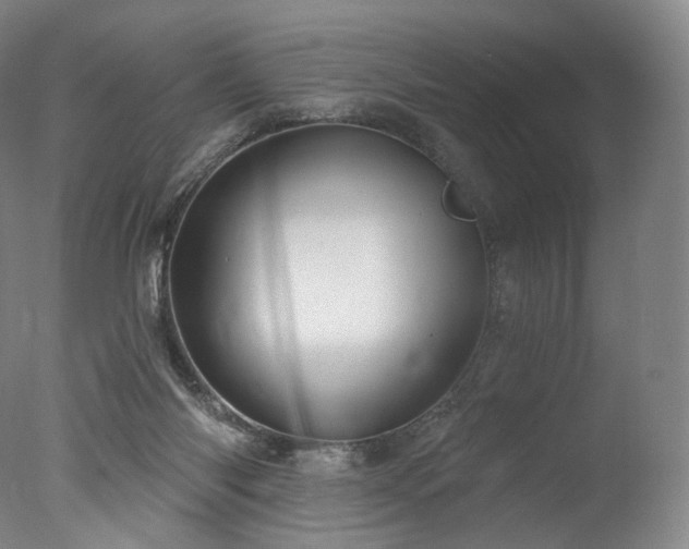 X0000077370118200610201401