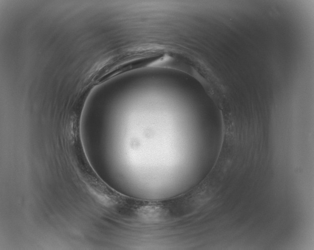 X0000077370119200610201401