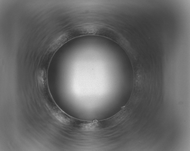 X0000077370122200610201401