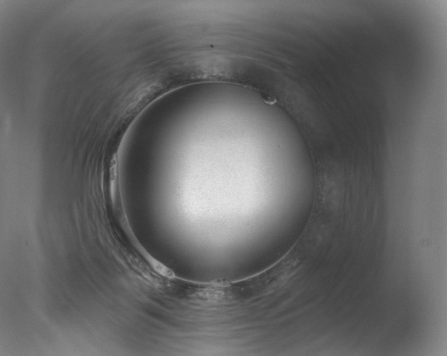 X0000077370123200610201401