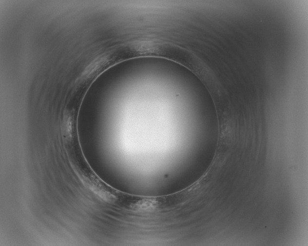 X0000077370124200610201401