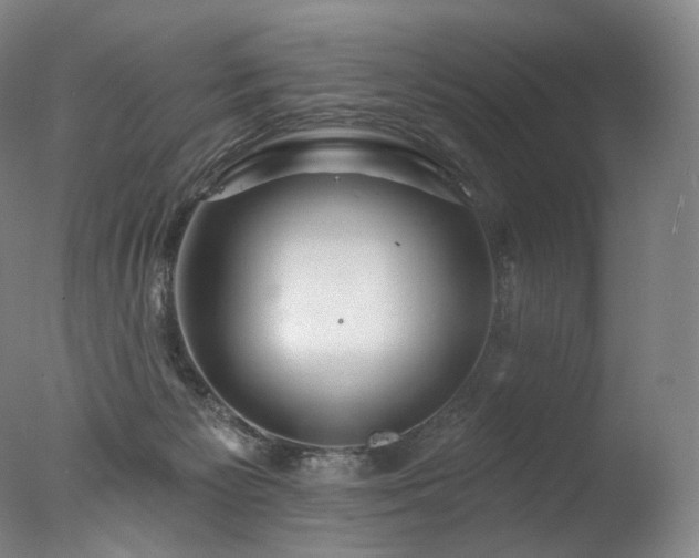 X0000077370125200610201401