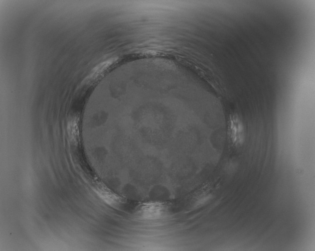 X0000077370127200610201401