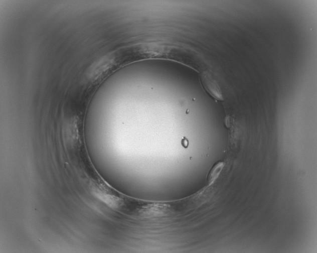 X0000077370128200610201401