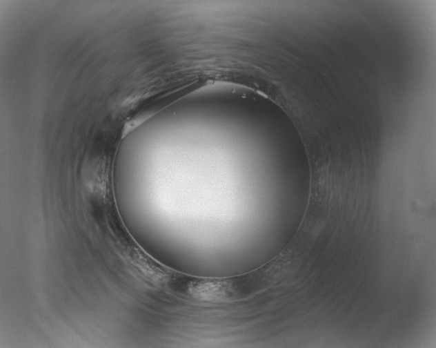 X0000077370129200610201401