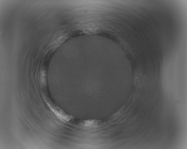 X0000077370130200610201401