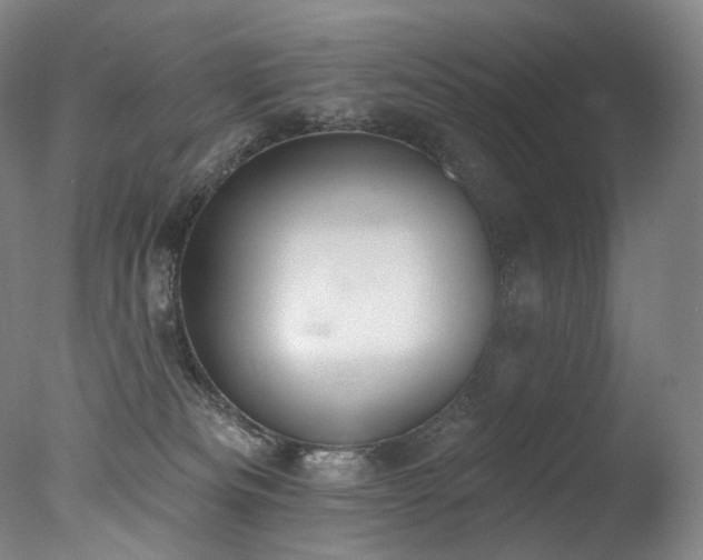 X0000077370133200610201401