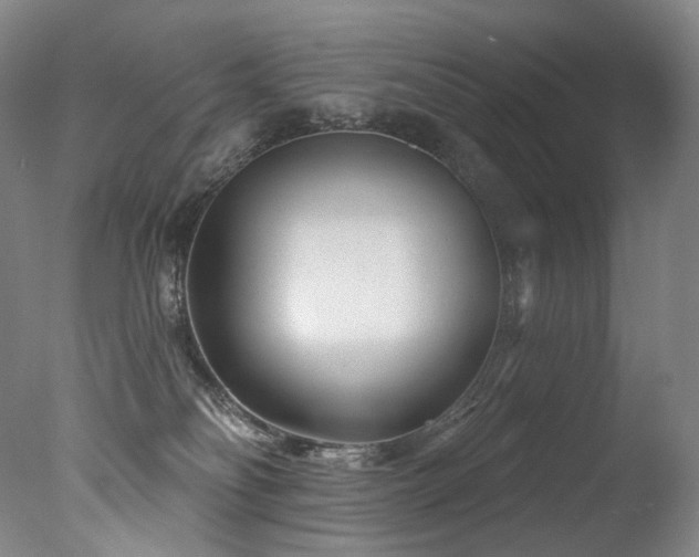 X0000077370134200610201401