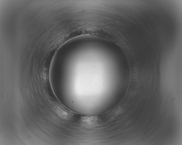 X0000077370135200610201401