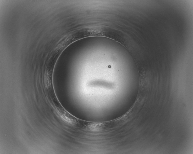 X0000077370136200610201401