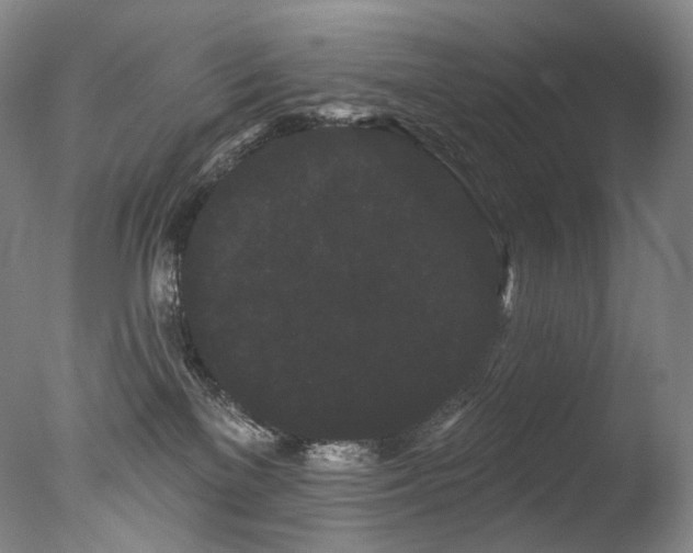 X0000077370137200610201401