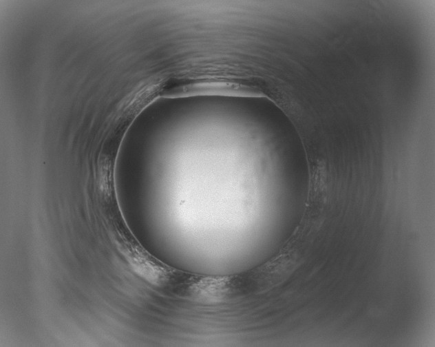 X0000077370138200610201401