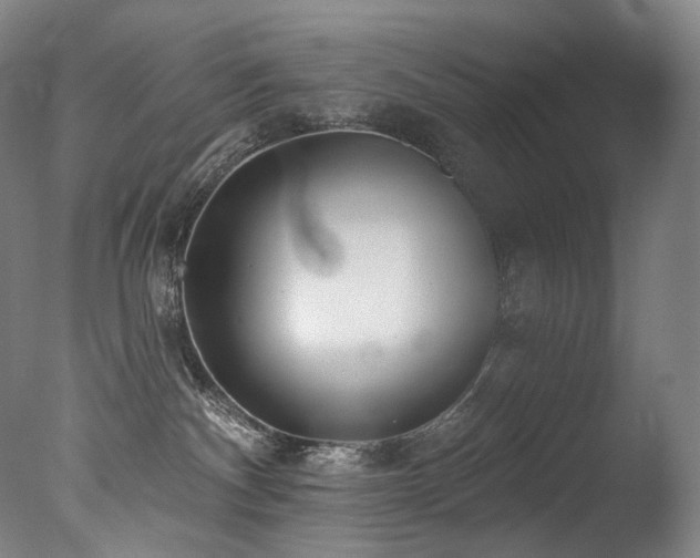 X0000077370140200610201401