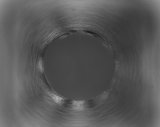 X0000077370143200610201401