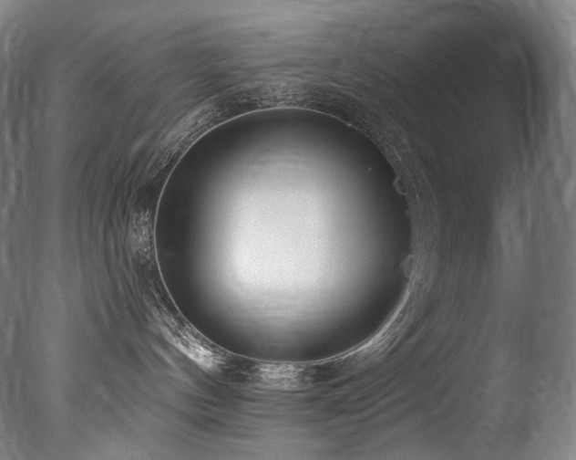 X0000077370144200610201401