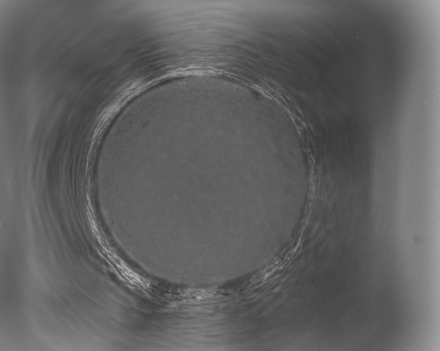 X0000077370145200610201400