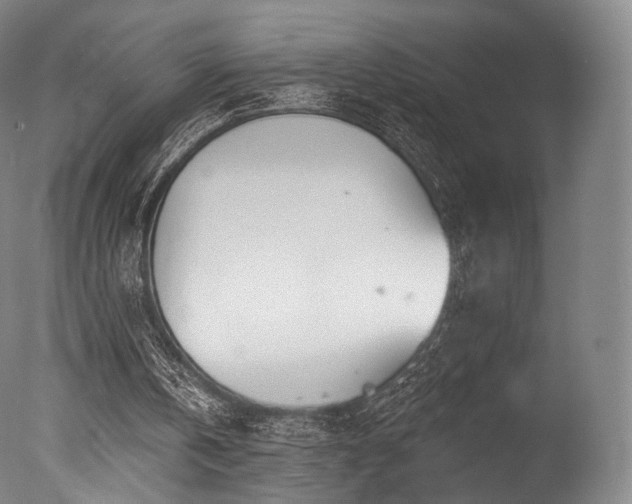 X0000077370146200610201400