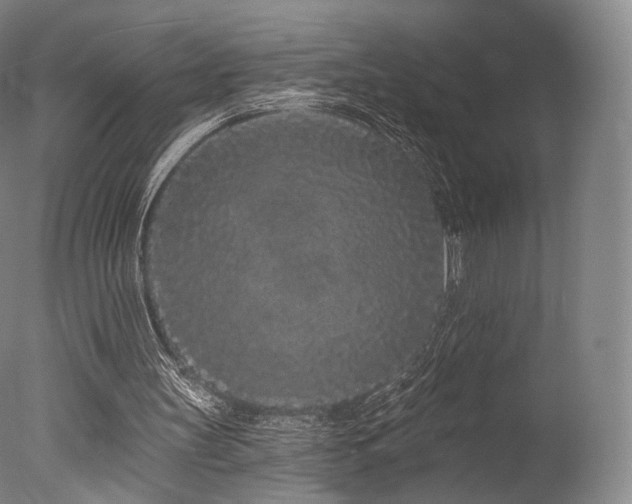 X0000077370147200610201400