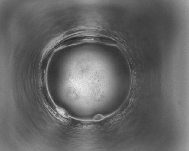 X0000077370149200610201400