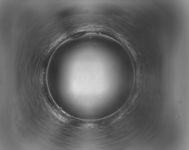 X0000077370153200610201400