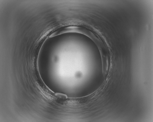 X0000077370154200610201400