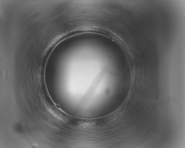 X0000077370155200610201400