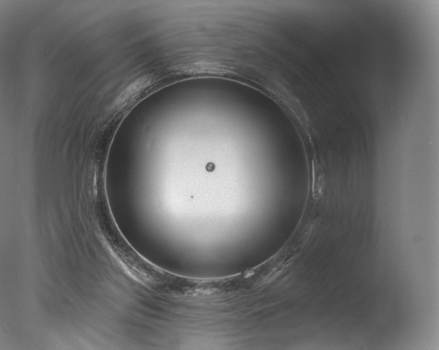 X0000077370157200610201400