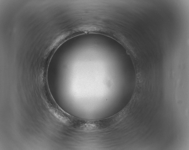 X0000077370159200610201400