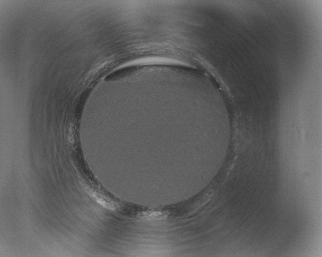 X0000077370161200610201400