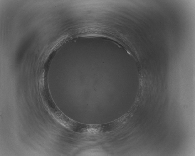 X0000077370163200610201401