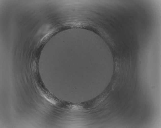 X0000077370165200610201401