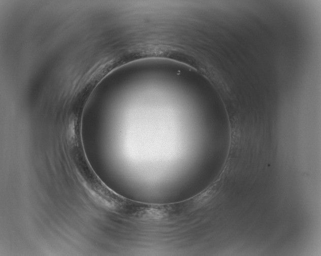 X0000077370166200610201401