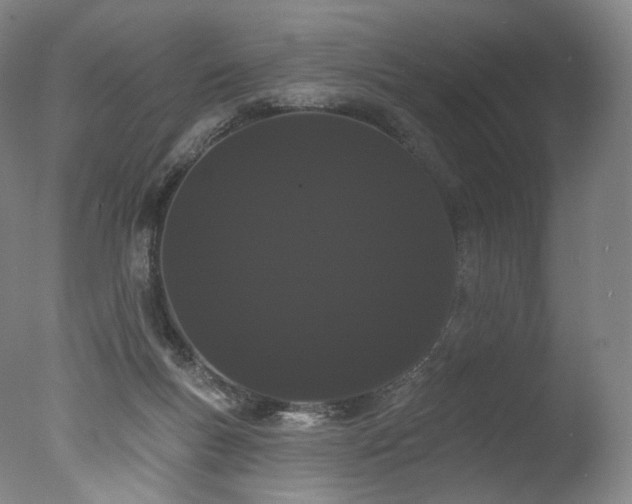 X0000077370167200610201401