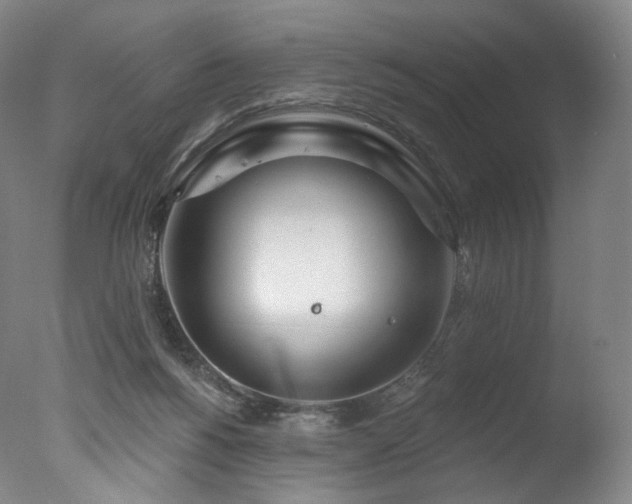 X0000077370168200610201401