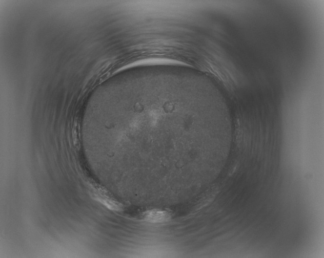 X0000077370169200610201401