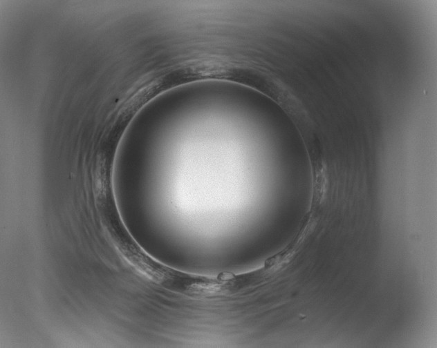 X0000077370170200610201401