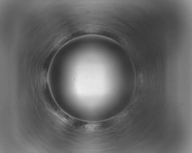 X0000077370172200610201401