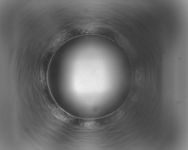 X0000077370173200610201401