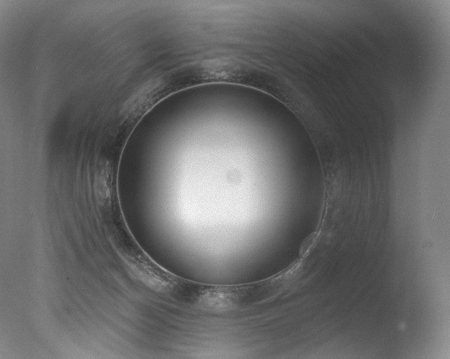 X0000077370174200610201401